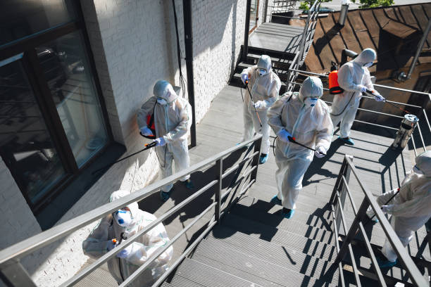Mold Documentation for Insurance Claims in Bayonet Point, FL