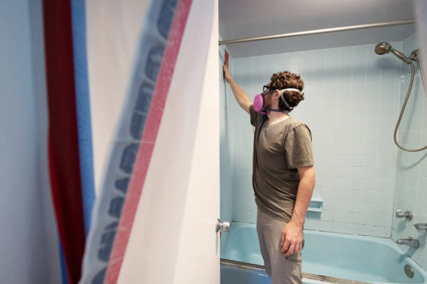 Best Attic Mold Removal  in Bayonet Point, FL