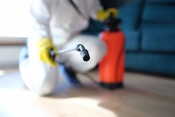 Best Commercial Mold Inspection  in Bayonet Point, FL